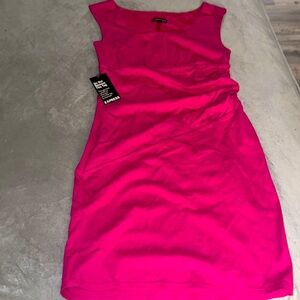 NWT express pink dress all tags attached brand new
